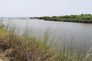 Desembocadura del Riu Millars image