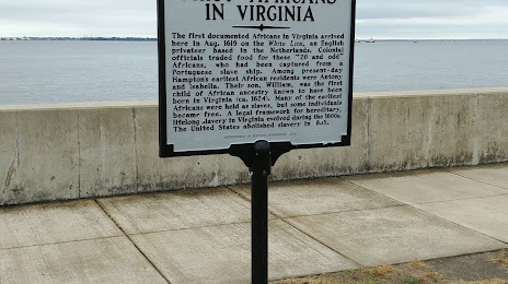 Driveway Paving Hampton