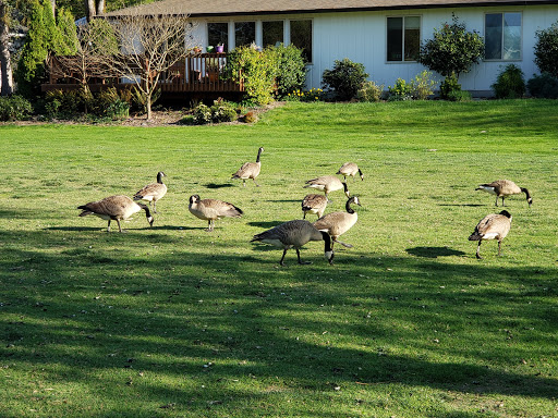 Park «Commonwealth Lake Park», reviews and photos, SW Butner Rd & SW Huntington Ave, Cedar Hills, OR 97225, USA