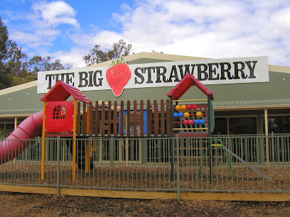 The Big Strawberry