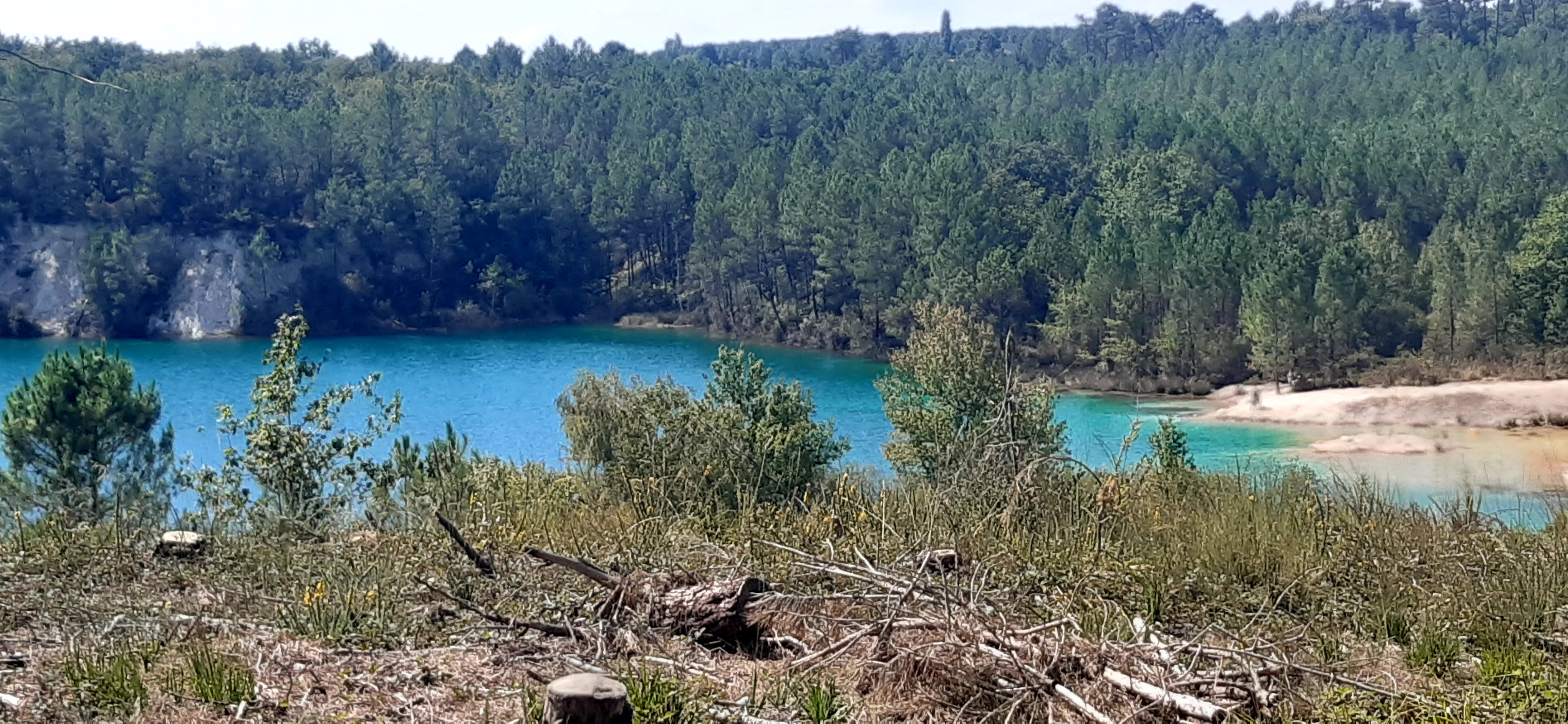 Photo n° 6 de l'avis de Helene.i fait le 14/09/2020 à 12:11