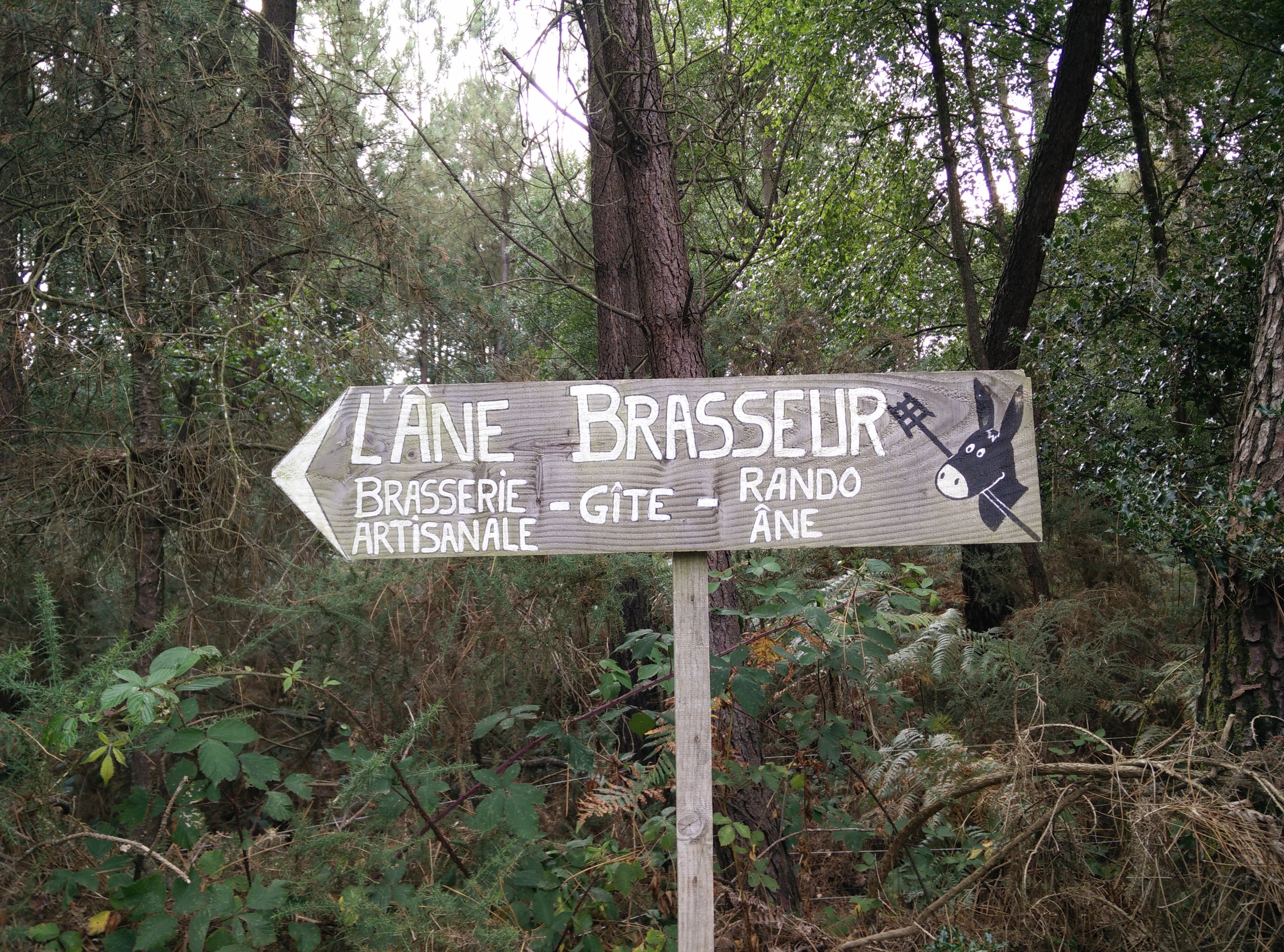 Photo n° 4 de l'avis de Yann.a fait le 02/09/2018 à 11:24