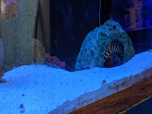 Pet Store «Aquarium Designs», reviews and photos, 15229 San Pedro Ave, San Antonio, TX 78232, USA