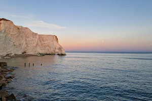 Seaford Head West. image