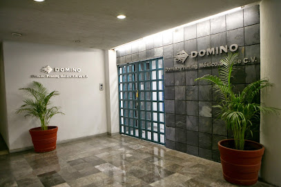 Domino Printing México
