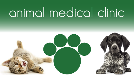 Animal Medical Clinic, A Thrive Pet Healthcare Partner image