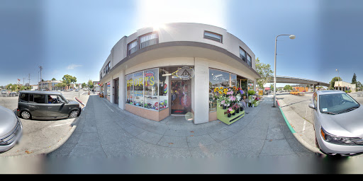 Plaza Tennis & Sports, 1274 Solano Ave, Albany, CA 94706, USA, 