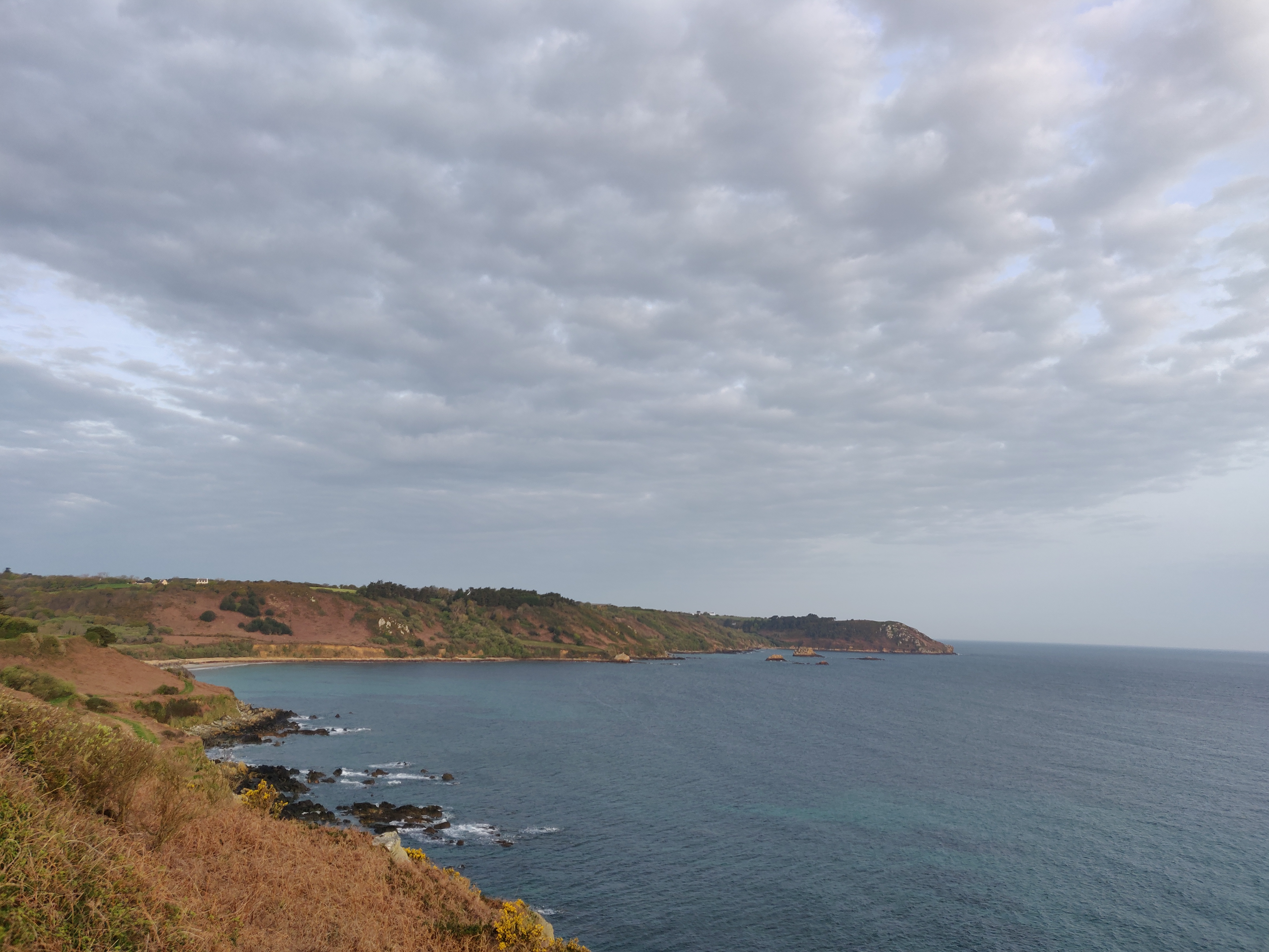 Photo n° 1 de l'avis de Thomas.3 fait le 20/04/2019 à 12:11