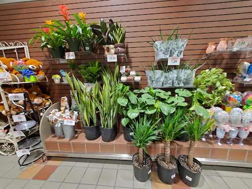 Grocery Store «Schnucks», reviews and photos, 9540 Watson Rd, St Louis, MO 63126, USA