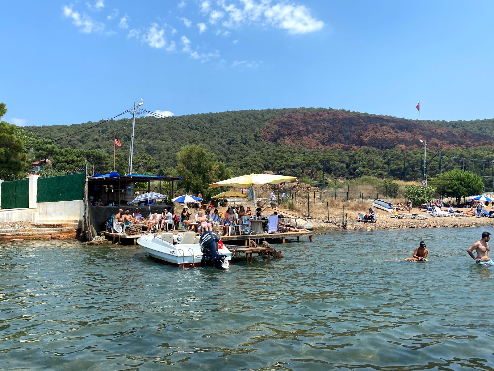 Foto di Pine Harbor Bay con baia spaziosa