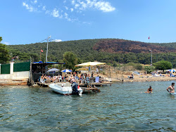 Foto di Pine Harbor Bay con baia spaziosa
