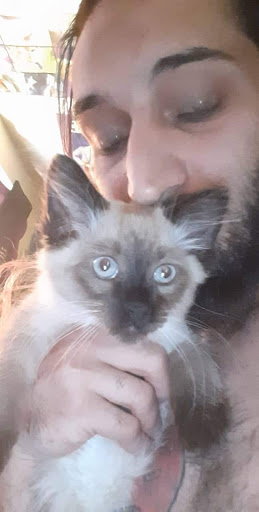 Pet Supply Store «Pet Supplies Plus», reviews and photos, 26230 Hoover Rd, Warren, MI 48089, USA