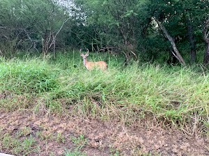 Athey Nature Area - photo 6