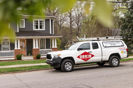 Orkin - 3