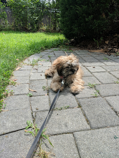 Pet Store «Puppy Palace», reviews and photos, 1250 US-130, Trenton, NJ 08638, USA