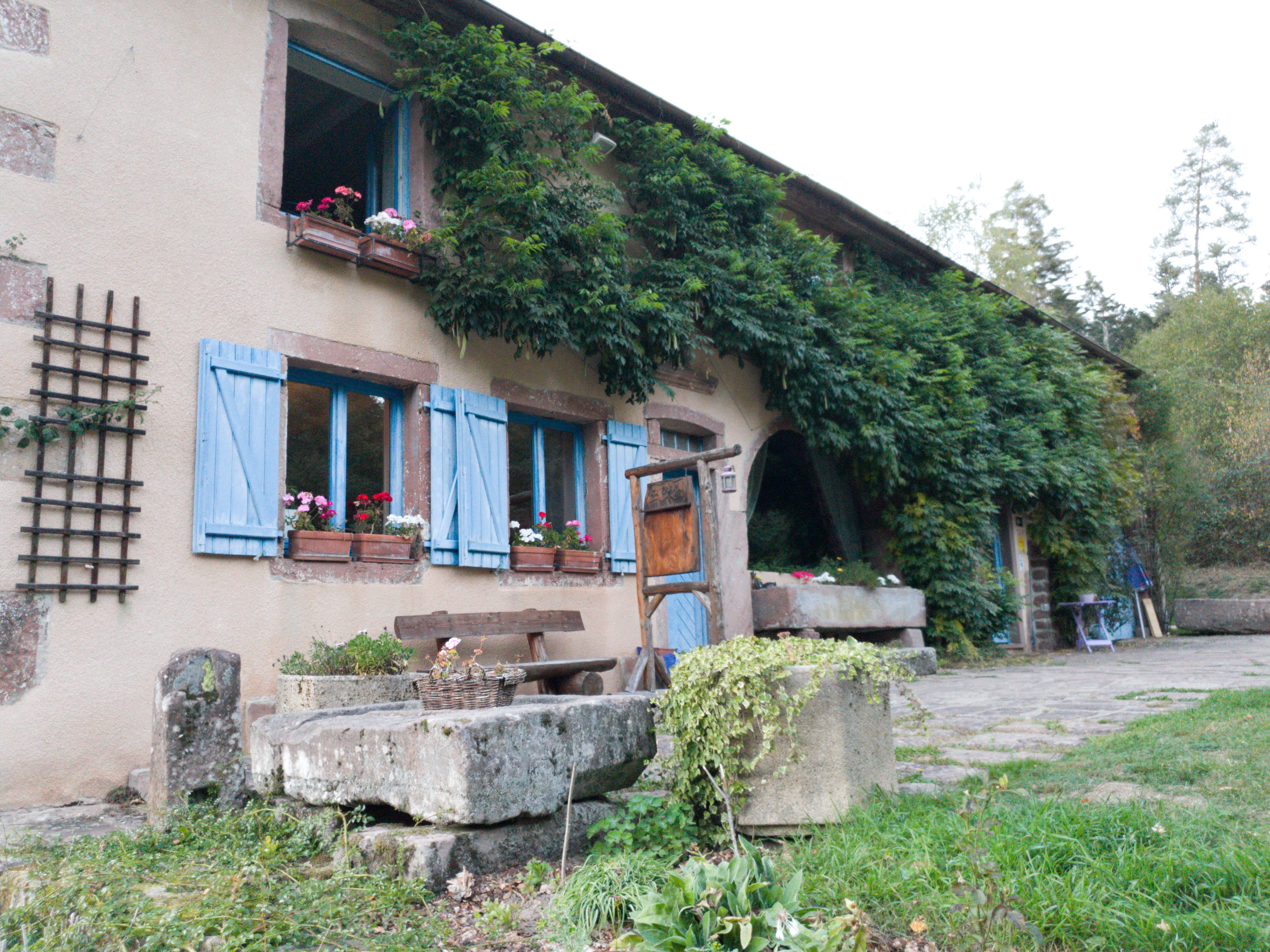 Photo n° 12 de l'avis de Vincent.u fait le 16/10/2018 à 19:42