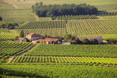 Château Poulvère - GFA Vignobles Poulvere à Monbazillac