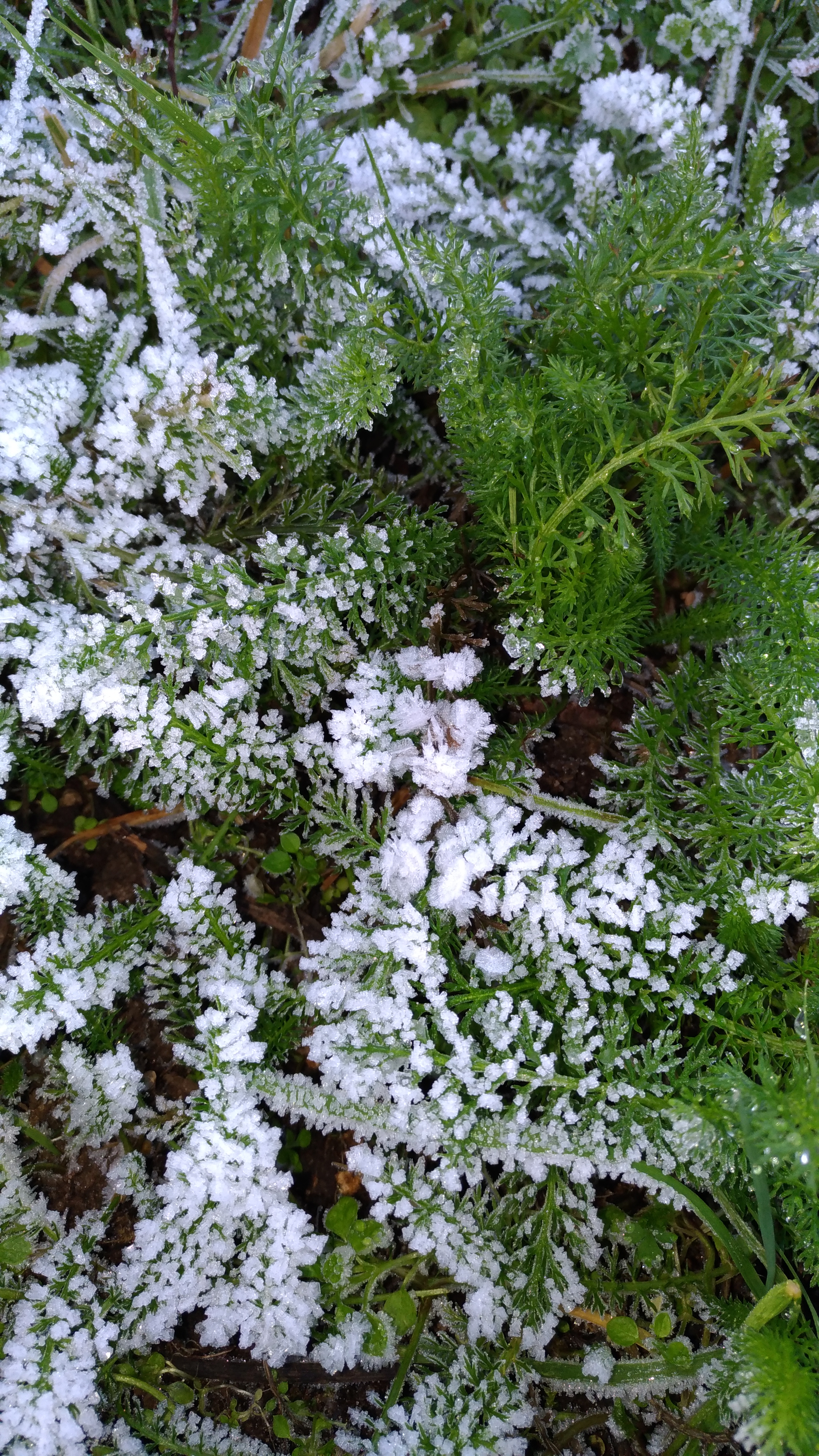 Photo n° 29 de l'avis de Chrystelle.e fait le 21/04/2019 à 16:16