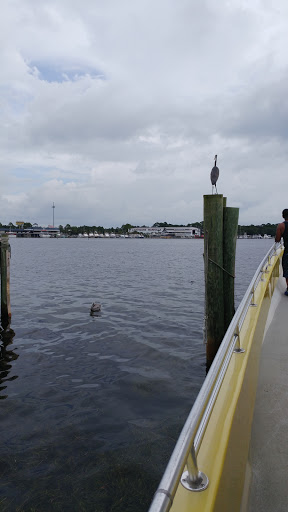 Boat Tour Agency «Sea Screamer», reviews and photos, 3605 Thomas Dr, Panama City, FL 32408, USA