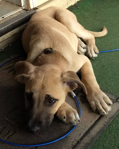 Pet Store «Pets Plus - Quakertown», reviews and photos, 117 S West End Blvd, Quakertown, PA 18951, USA