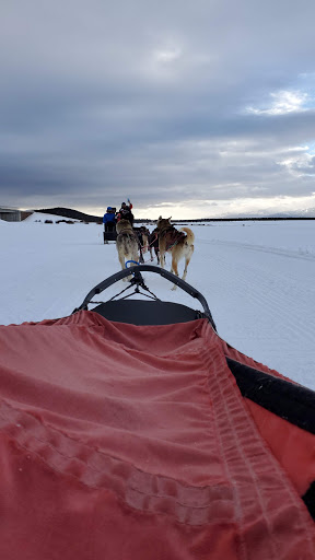 Nature Preserve «Alpine Adventures Inc», reviews and photos, 21767 US-24, Leadville, CO 80461, USA