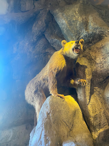 Sporting Goods Store «Bass Pro Shops», reviews and photos, 1356 Bass Pro Dr, Manteca, CA 95337, USA