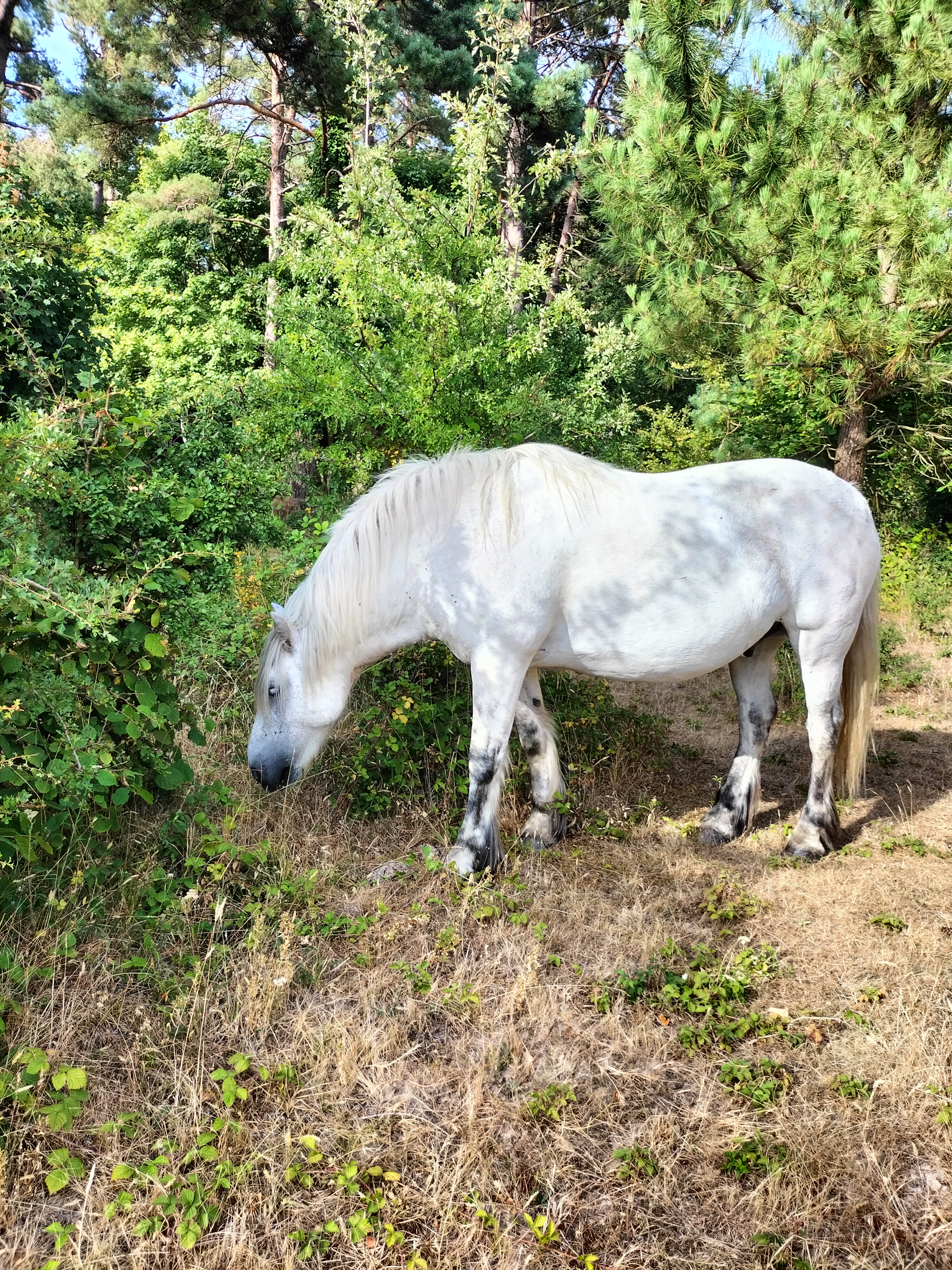 Photo n° 9 de l'avis de Magalie.u fait le 30/07/2022 à 06:08