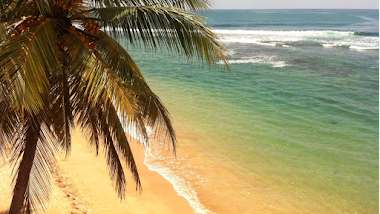 Mainedd Travel Agency