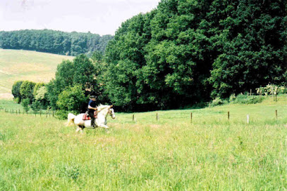 ARTE Association Tourisme Equestre Brabant Bruxelles - FFE