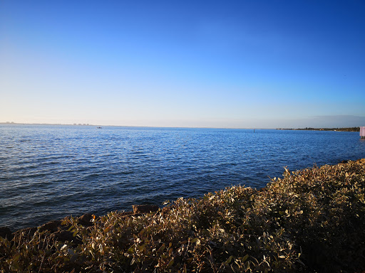 Performing Arts Theater «Van Wezel Performing Arts Hall», reviews and photos, 777 N Tamiami Trail, Sarasota, FL 34236, USA