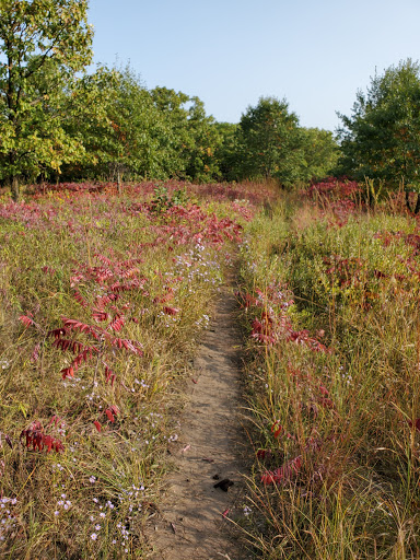 Nature Preserve «St. Croix Savanna Scientific and Natural Area (SNA)», reviews and photos, Osprey Blvd, Bayport, MN 55003, USA