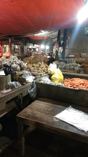 10 Tempat Area Pengamatan Burung di Kota Malang yang Menarik untuk Dikunjungi