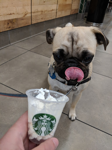 Variety Store «University of Utah Campus Store», reviews and photos, 270 1500 E, Salt Lake City, UT 84112, USA