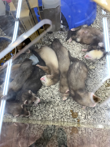 Pet Supply Store «Pet Supermarket, Inc.», reviews and photos, 598 N McCarran Blvd, Sparks, NV 89431, USA