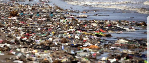 Grocery Store «Stop & Shop», reviews and photos, 540 Squire Rd, Revere, MA 02151, USA