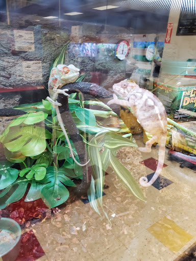 Pet Supply Store «Petco Animal Supplies», reviews and photos, 48 Watertower Plaza, Leominster, MA 01453, USA