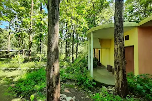 Corbett Riverside Forest Beach Camp, Corbett Jungle Inn , FRH (Hotel/Resort), Jim Corbett Park, Dhikala Range, Mohan image