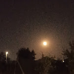 Photo n°11 de l'avis de Imma. fait le 07/10/2023 à 18:11 sur le  Hotel Il Quadrifoglio à Rome