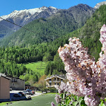 Photo n°3 de l'avis de Mauro.e fait le 20/07/2021 à 21:29 sur le  Trattoria del sole à Mentoulles