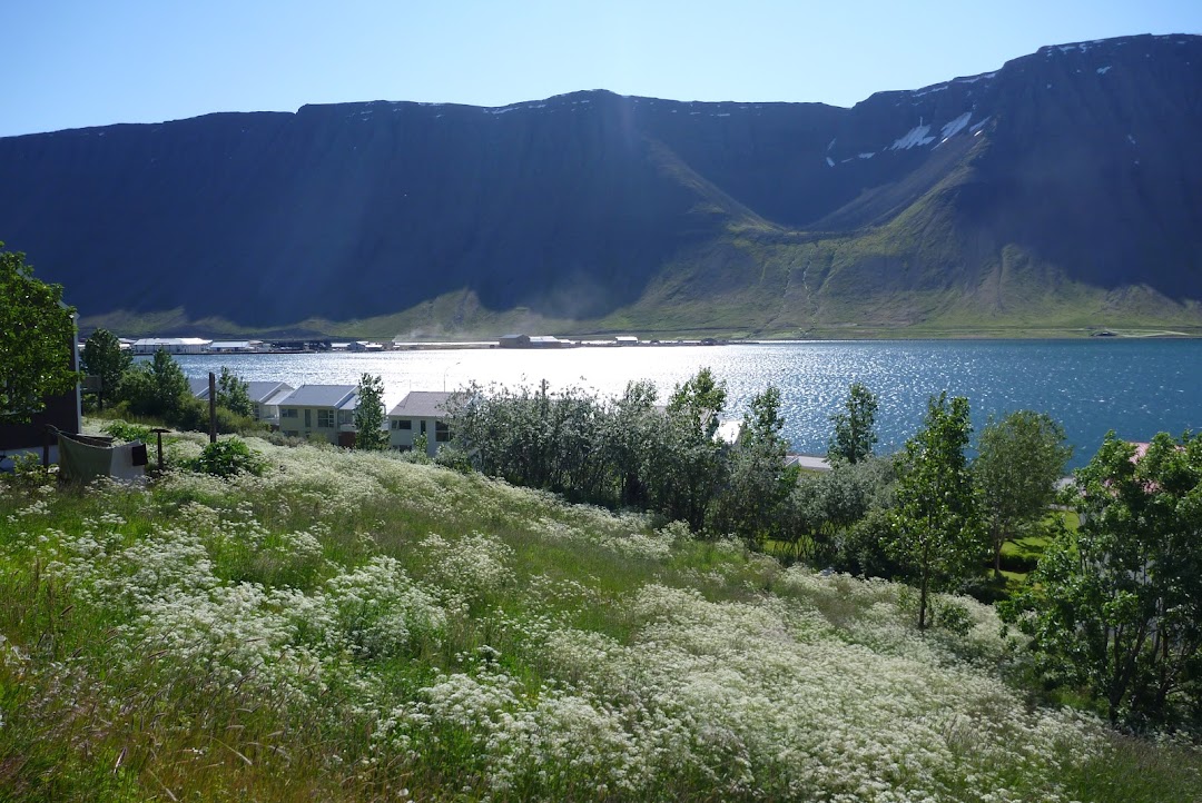 Ísafjörður, İzlanda