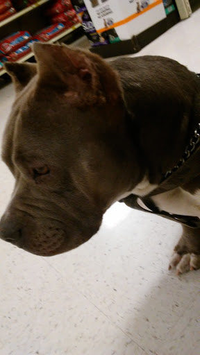 Pet Supply Store «PetSmart», reviews and photos, 2180 MacArthur Rd, Whitehall, PA 18052, USA