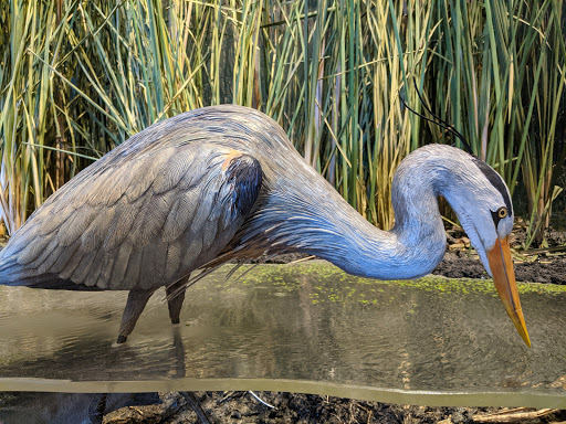 Natural History Museum «Natural History Museum of Utah», reviews and photos, 301 Wakara Way, Salt Lake City, UT 84108, USA