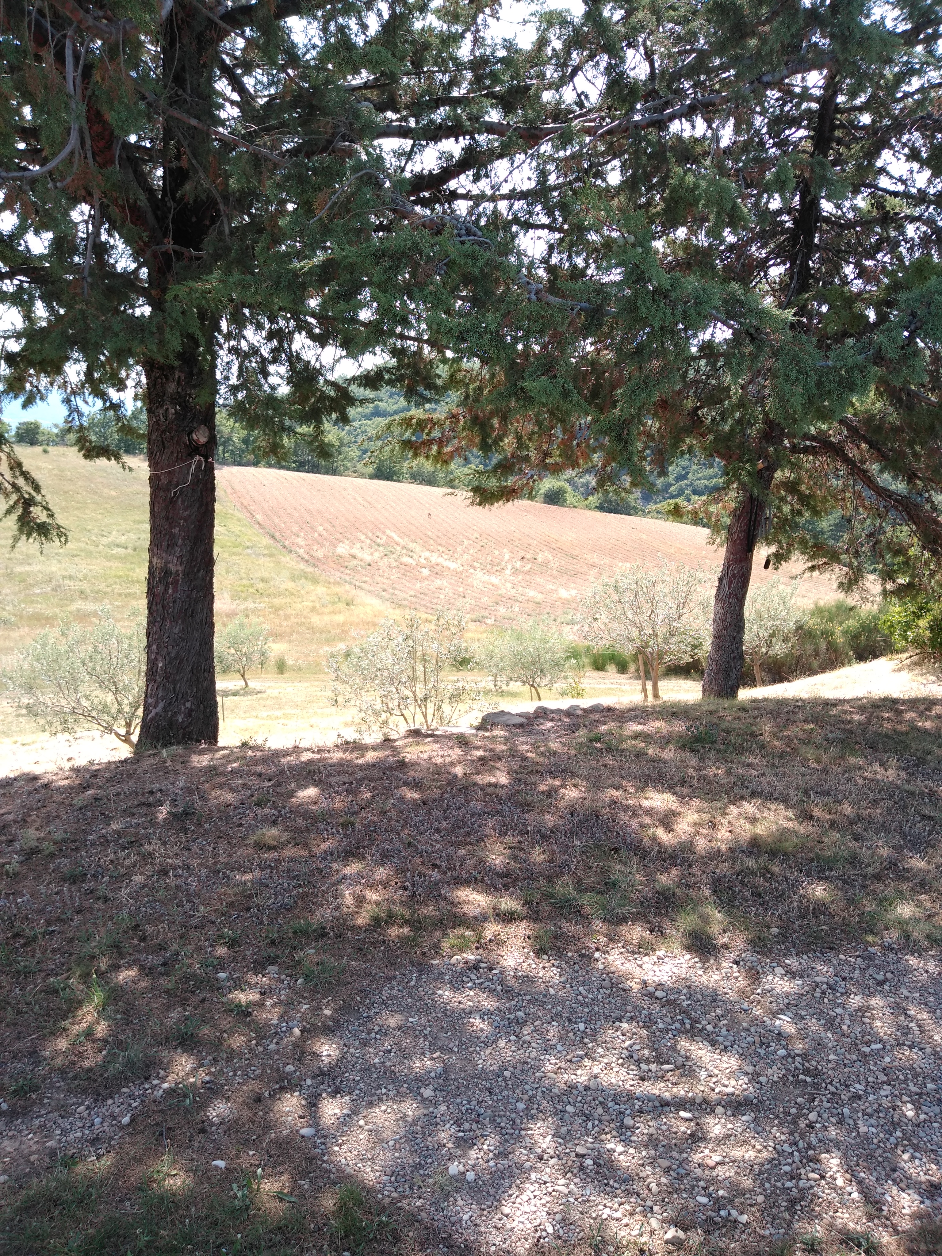 Photo n° 2 de l'avis de Christine.u fait le 11/08/2019 à 21:35