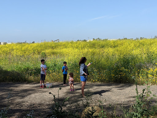 Park «Gum Grove Park», reviews and photos, Crescent View & Avalon Drive, Seal Beach, CA 90740, USA