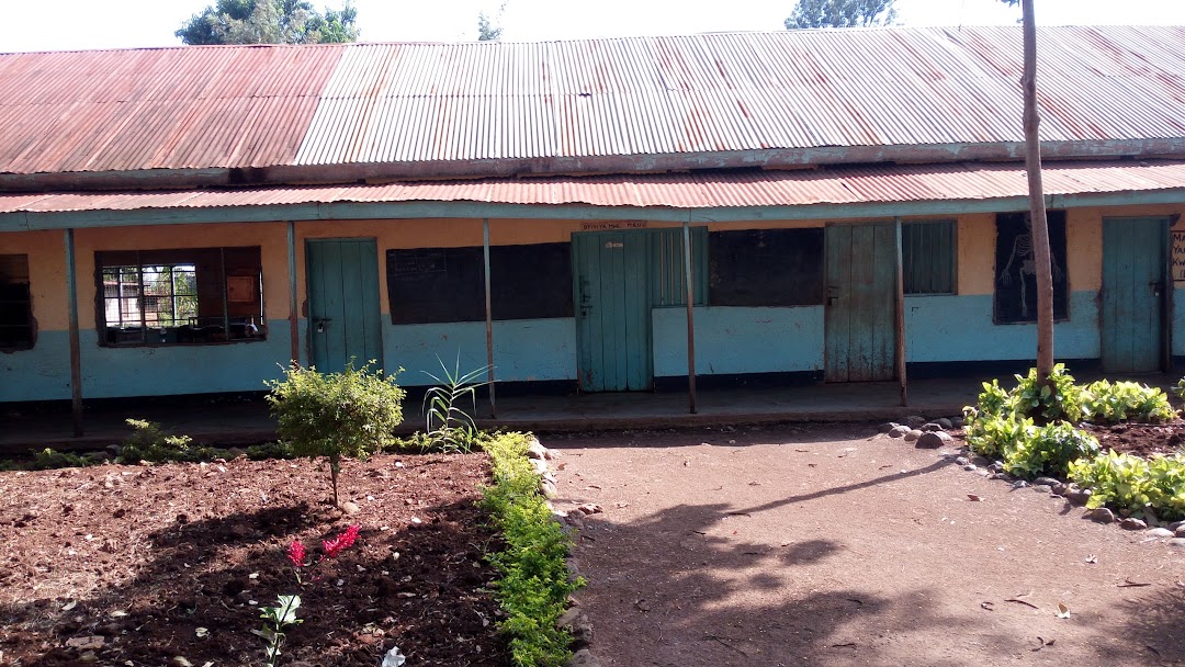 Muyuni Primary School