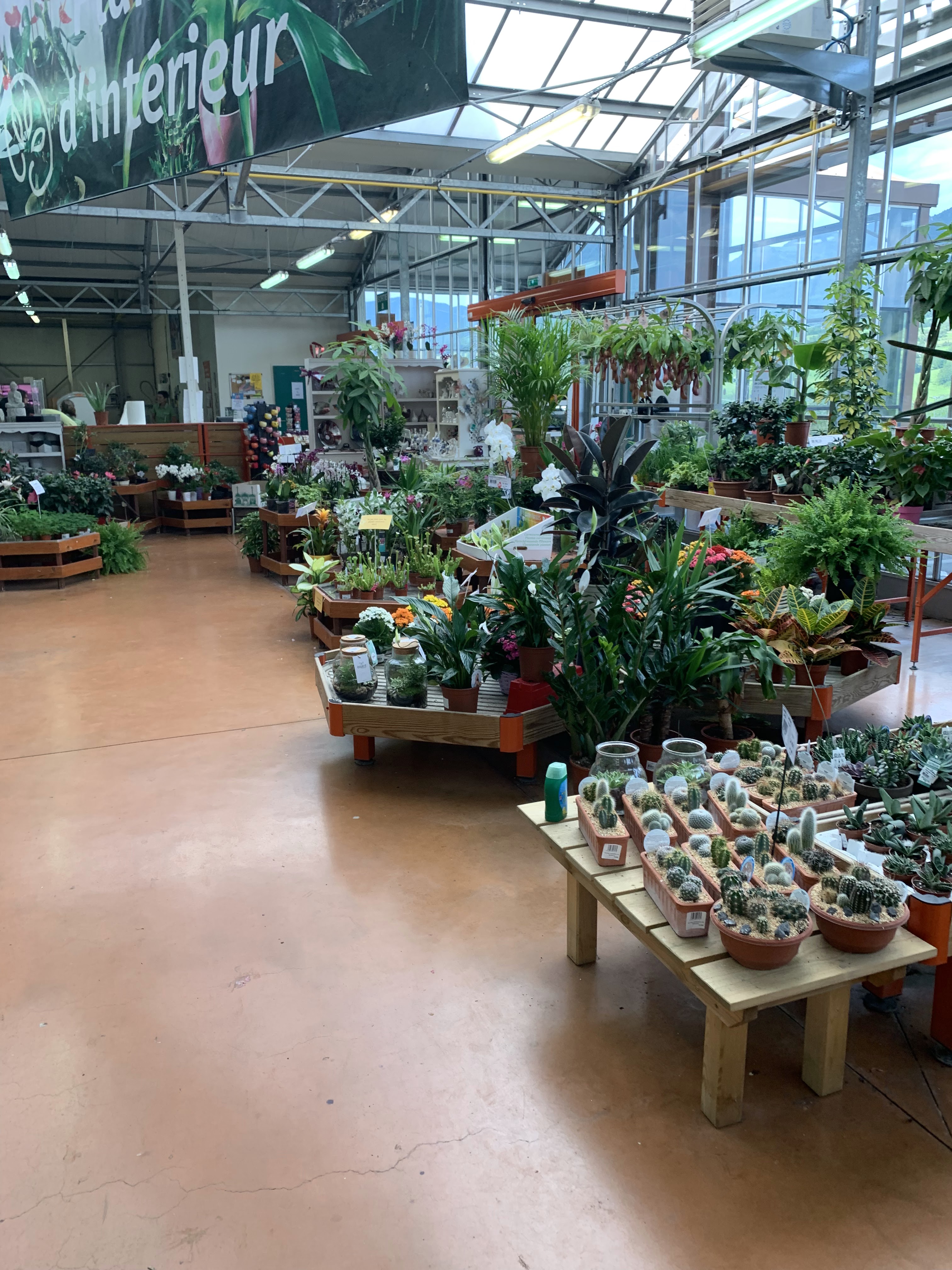 Photo n° 3 de l'avis de Oxmo.X fait le 19/06/2019 à 17:05