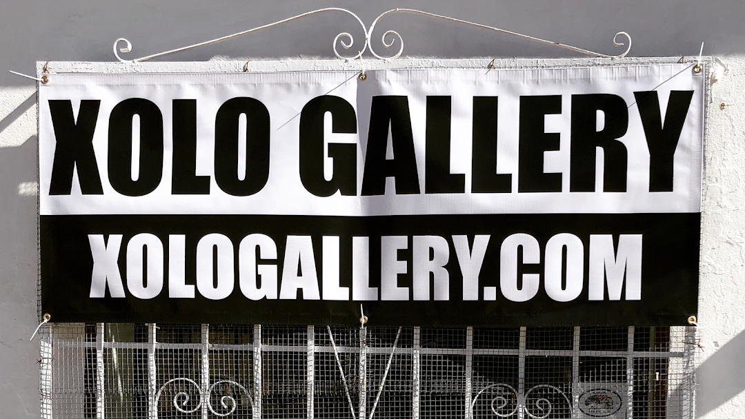 Xolo Gallery