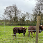 Photo n° 23 de l'avis de Ximena.i fait le 08/04/2024 à 11:21 pour Parc Animalier Saint Martin Montaigu La Brisette à Montaigu-la-Brisette