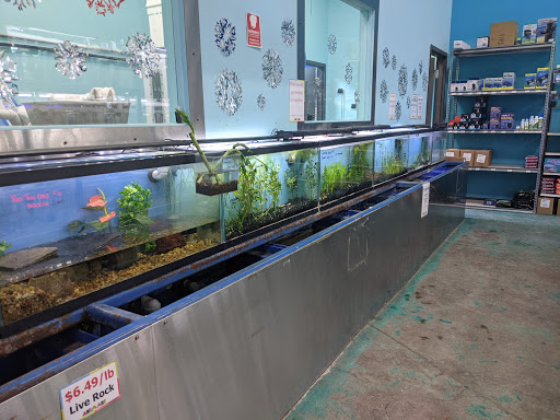 Pet Store «Animart», reviews and photos, 4303 E Towne Way, Madison, WI 53704, USA