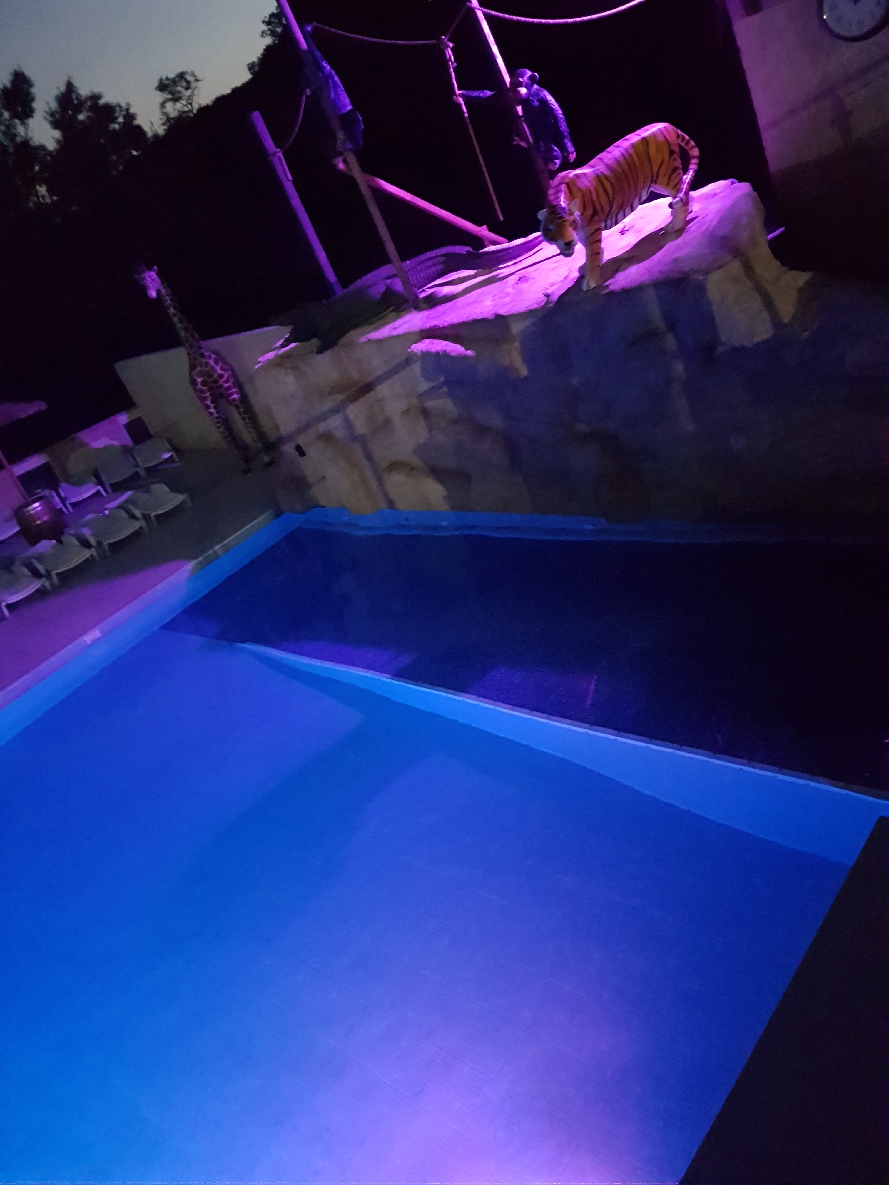 Photo n° 3 de l'avis de chrismancle.h fait le 19/07/2019 à 20:58